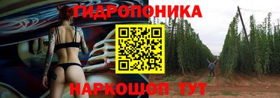 спиды Канаш