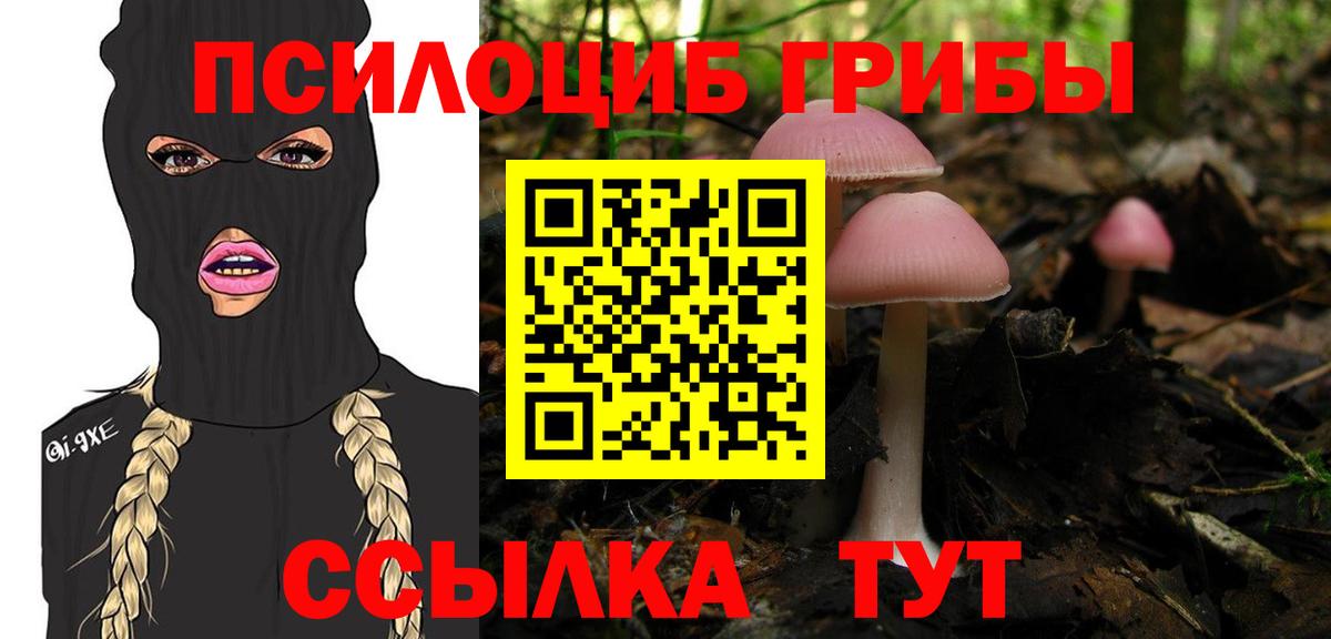 Вичуга  Галлюциногенные грибы Psilocybe  закладки  Вход с VPN 